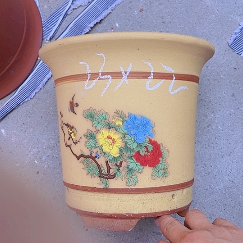 红陶110CM（含）-140CM（不含）紫砂紫砂