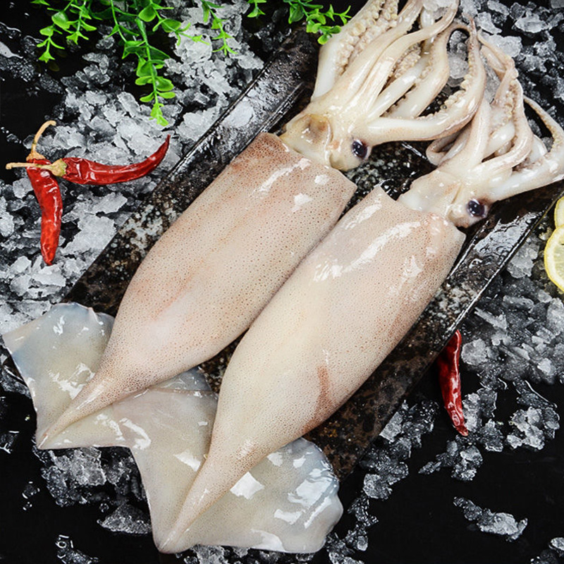 本地大鱿鱼 5斤 新鲜海鲜急冻锁鲜连云港发货