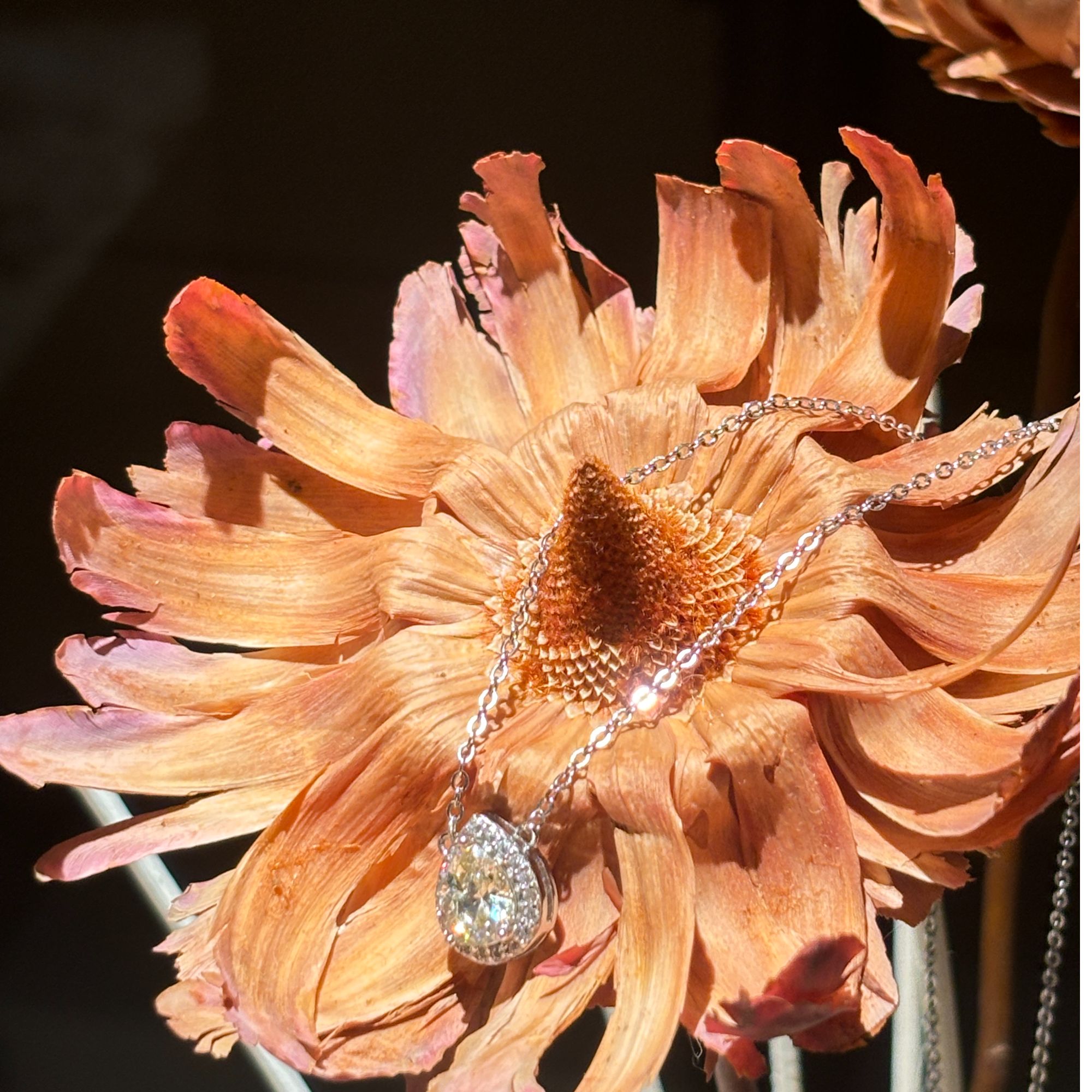 坠链均925银 精致轻奢水滴项链H095