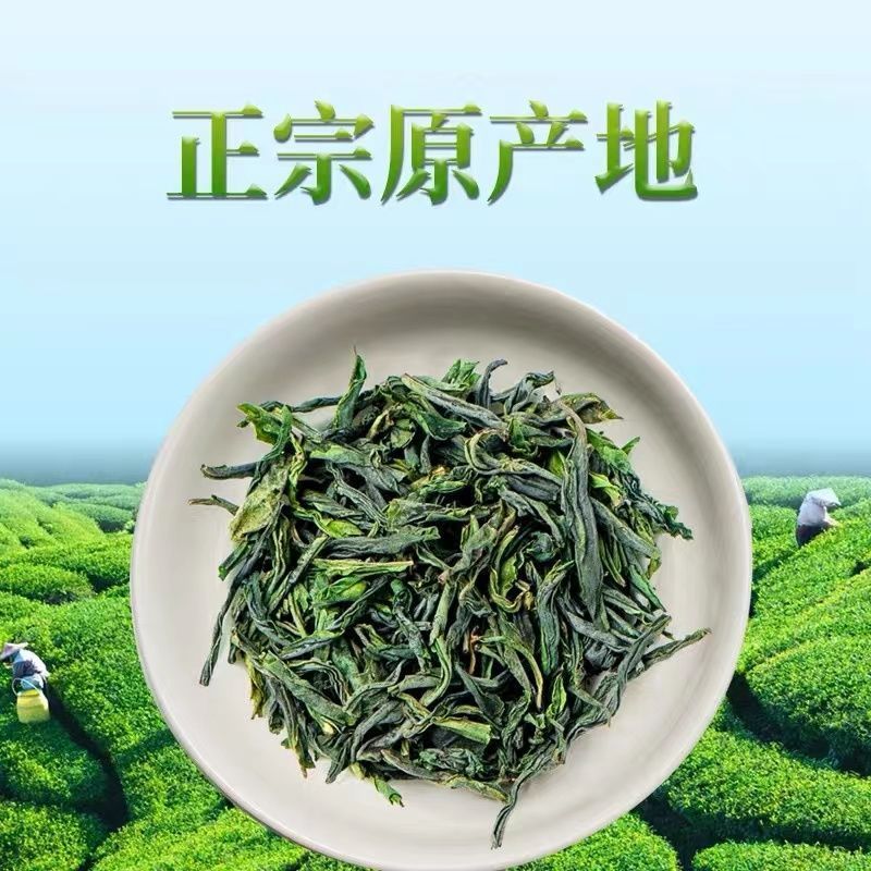 【手工瓜片C01】2025新茶明前春茶季一级六安瓜片茶叶茶叶2025新茶