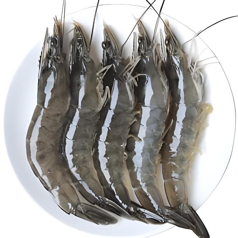基围虾 鲜虾400g±30g/份   活虾现捞现发  保鲜不保活