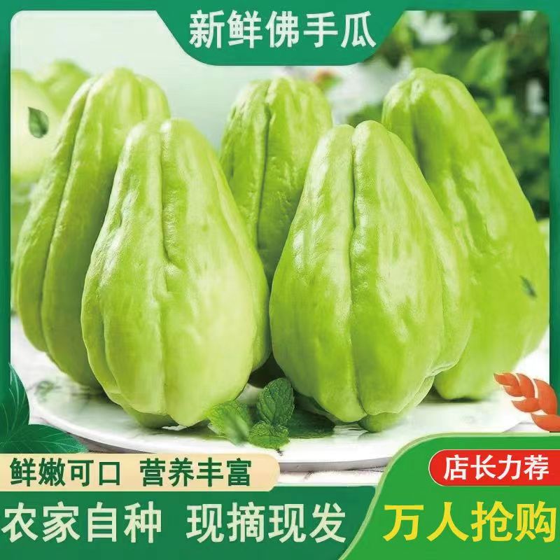 【优优】云南佛手瓜洋瓜丰收瓜新鲜蔬菜即食应季现摘农家蔬菜