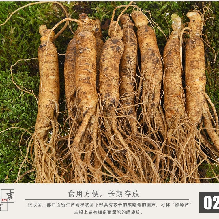 长白山    新鲜人参现拍链接  一颗3～125～50左右