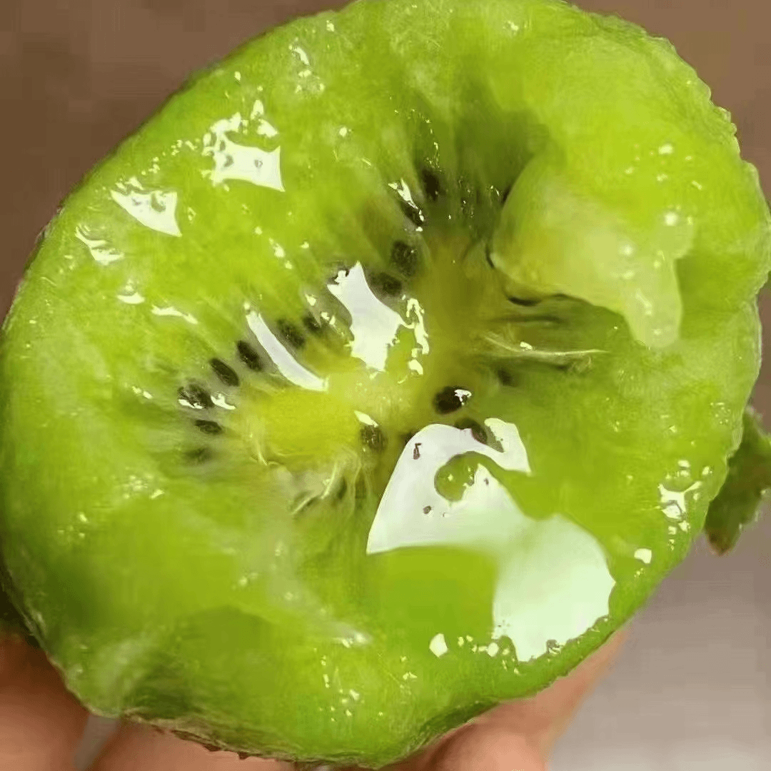 【古蔺东新猕猴桃丰收节】猕猴桃鲜果现摘现发香甜肉厚皮薄奇异果