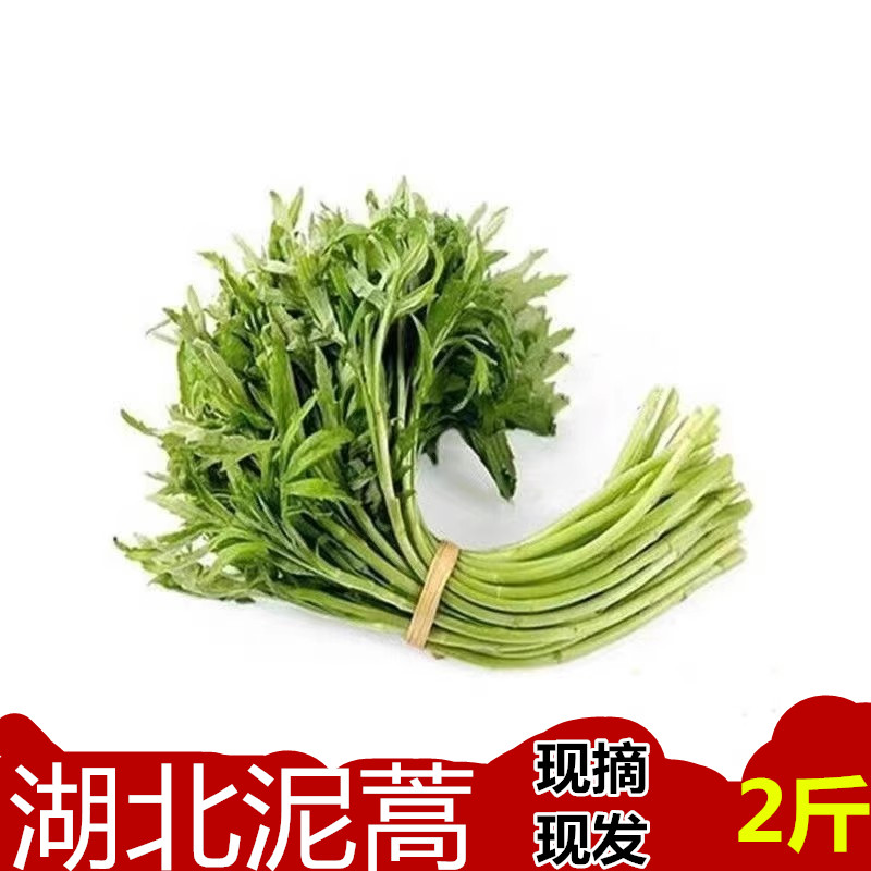 湖北泥蒿篱蒿新鲜黎蒿蔬菜当季芦蒿当天采摘带叶2斤包邮泡沫加冰