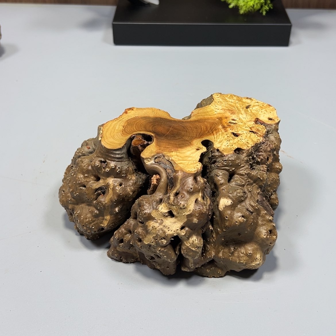 【闪购商品】麻梨疙瘩根雕起*了