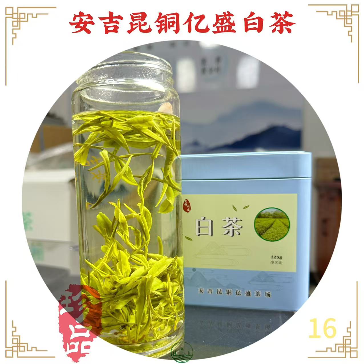 【明前精品安吉白茶A18】2025鲜爽安吉白茶正味新茶兰花香