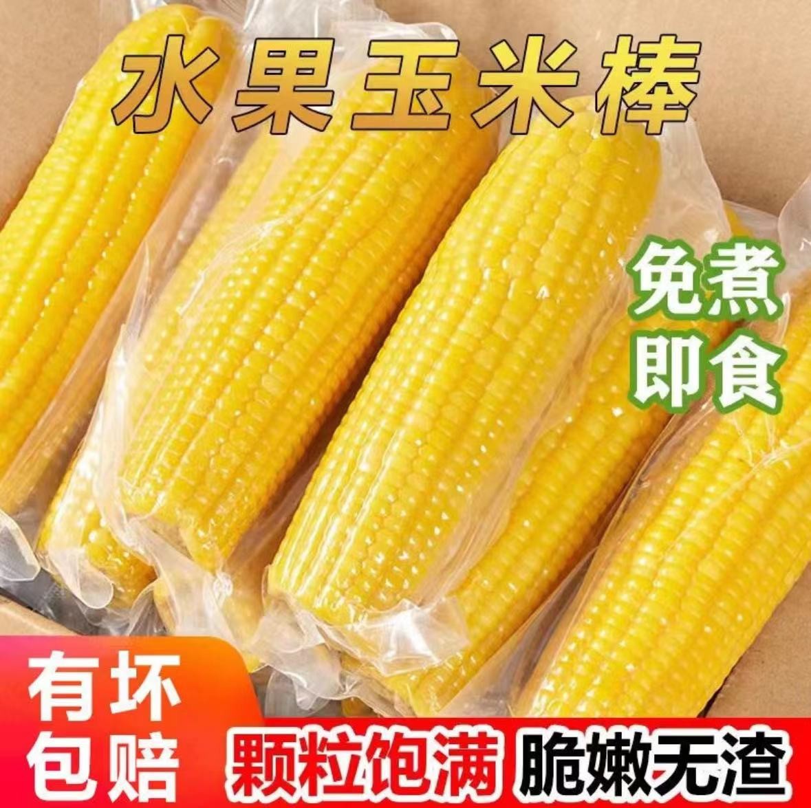 玉米好好吃 新鲜大玉米