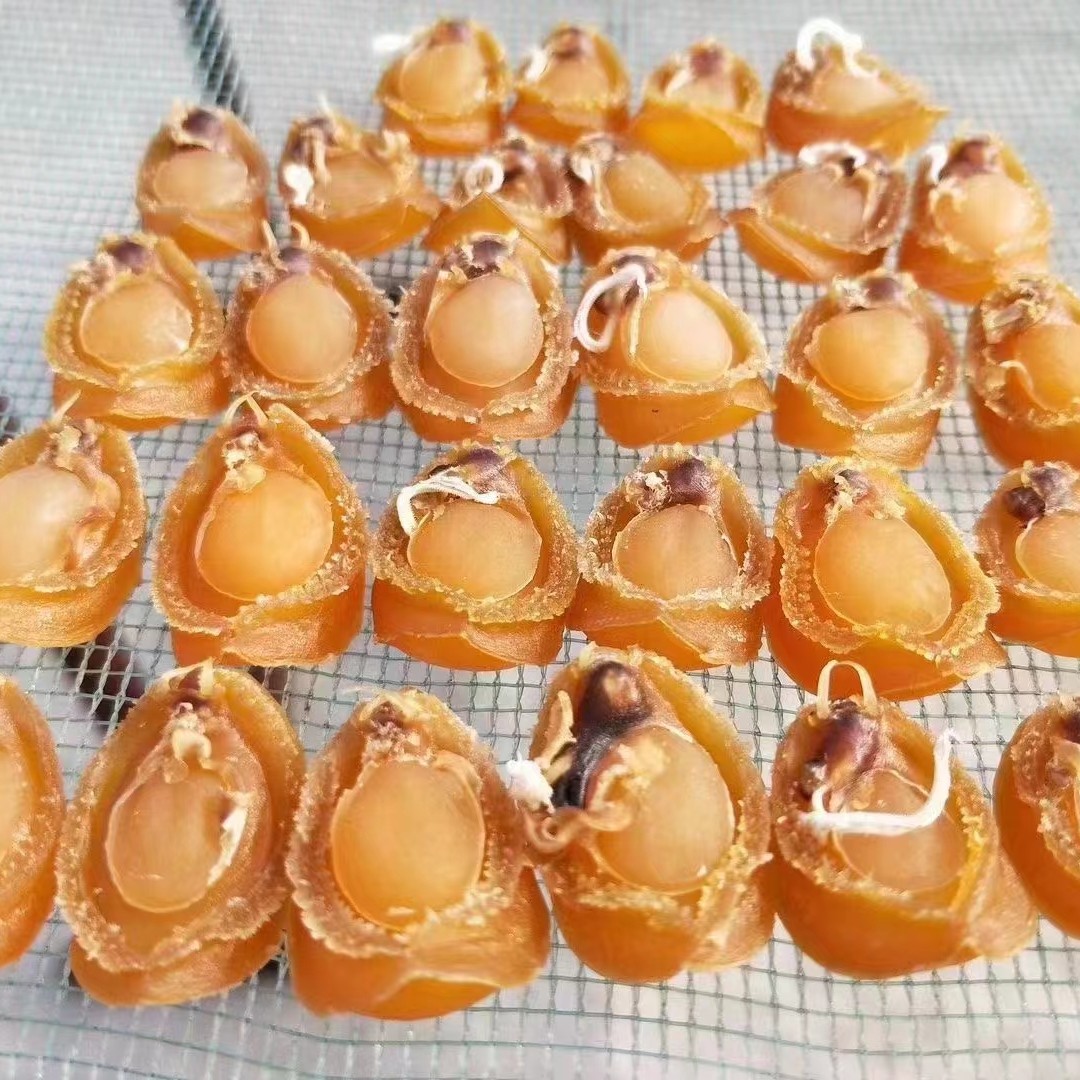 东山岛鲍鱼干 海味干货 新鲜晾晒 海货炖汤