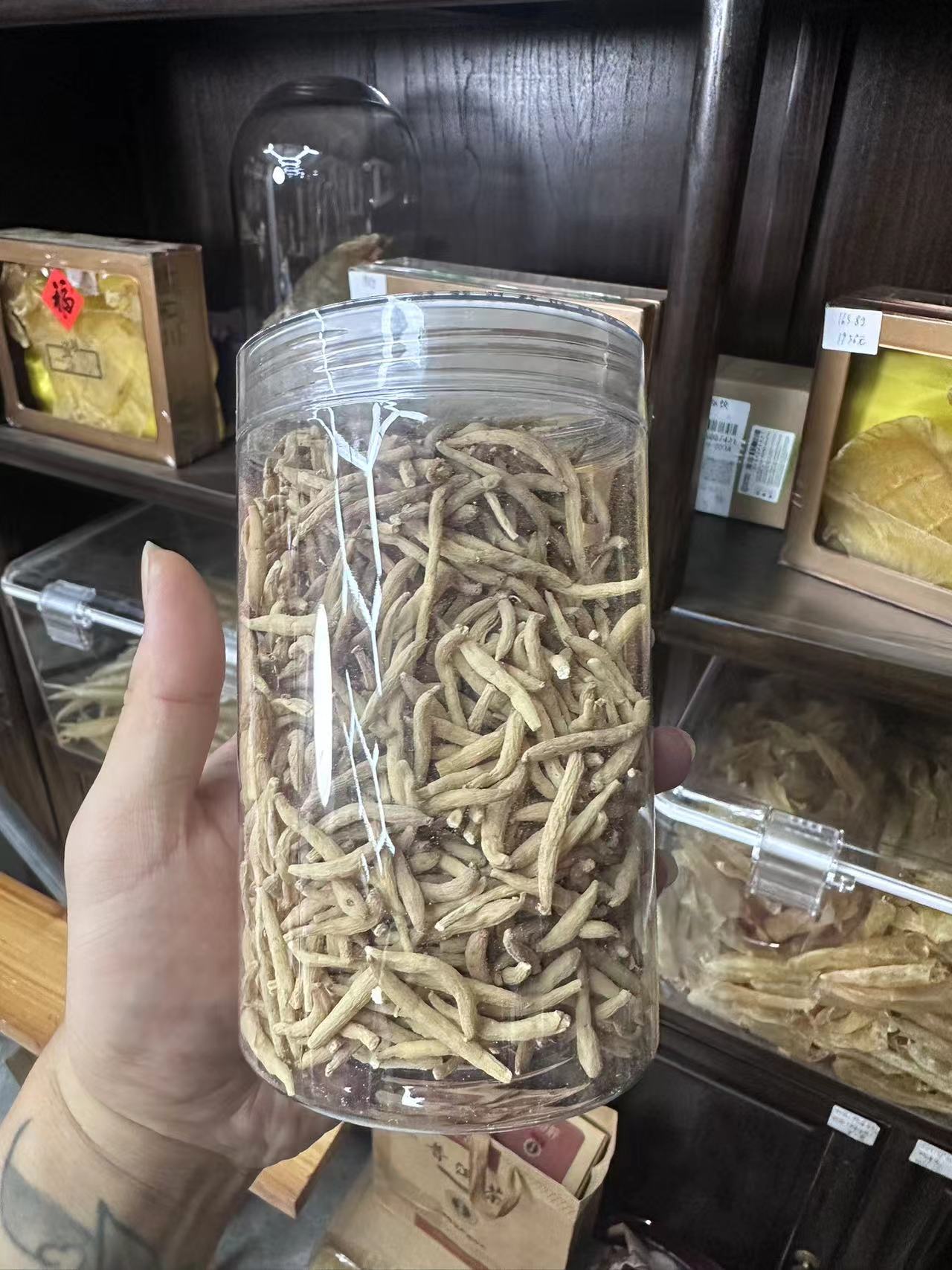 【唐总精选】孩儿参钛子参  西洋参