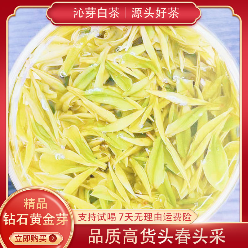 （超级店庆 头采乃白）安吉大熊猫乃白 高货头采