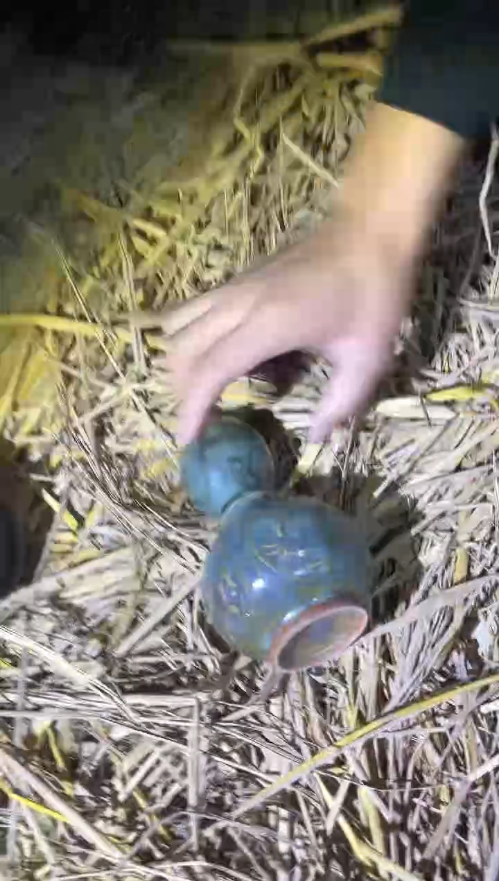 【闪购商品】陶瓷瓶Z232