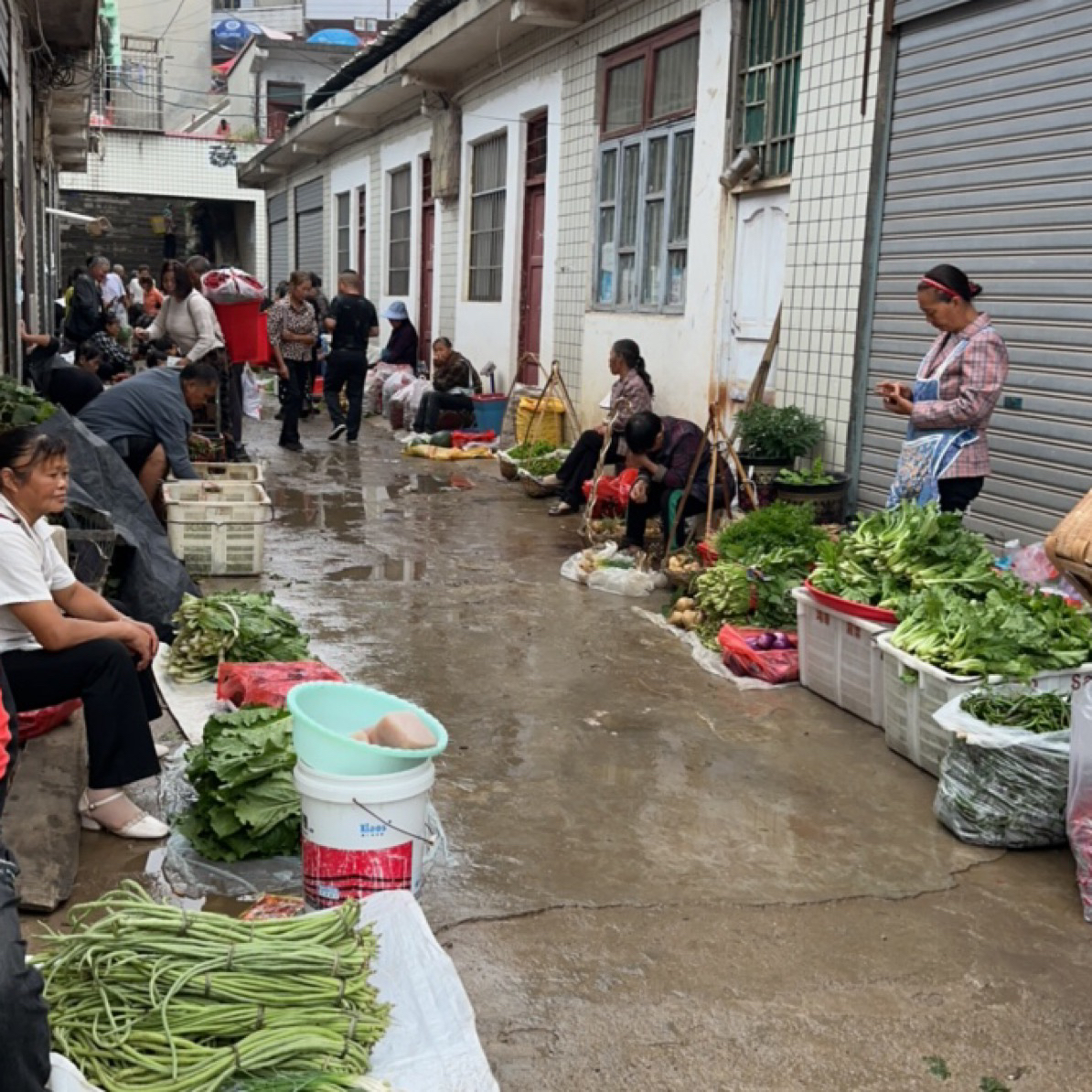 赶场代买链接生鲜水果蔬菜