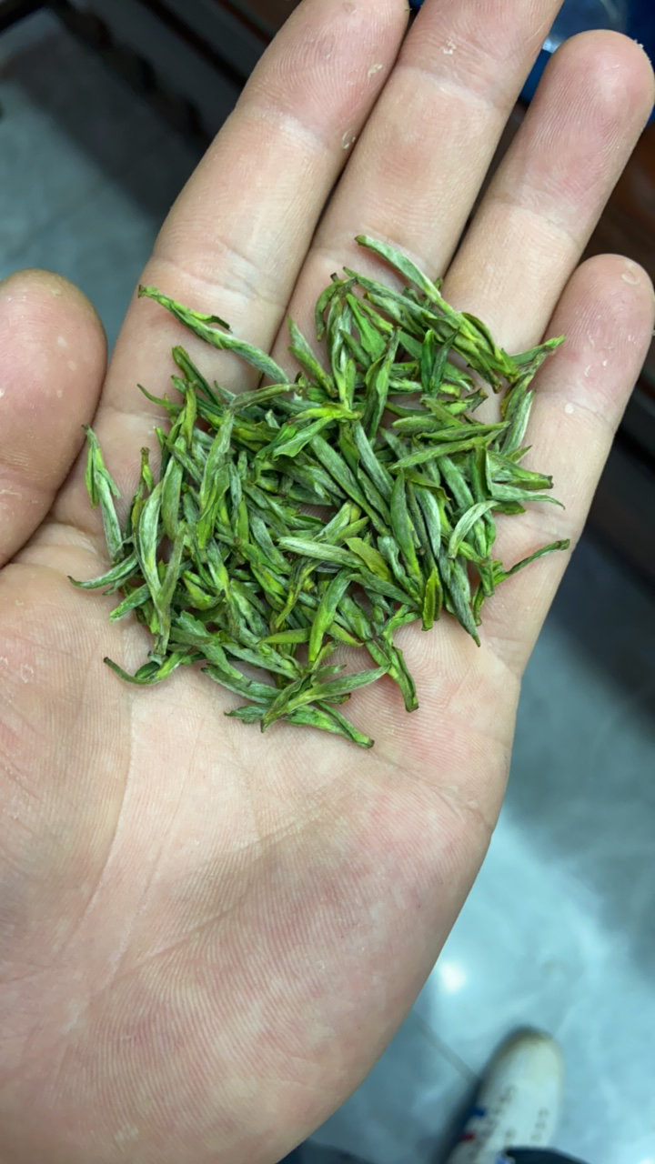 2025新茶正宗•霍山黄芽