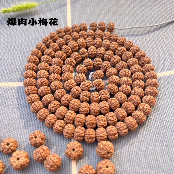 8【爆肉小梅花】毕业级老树粗筋爆肉小梅花小金刚108长串脖挂