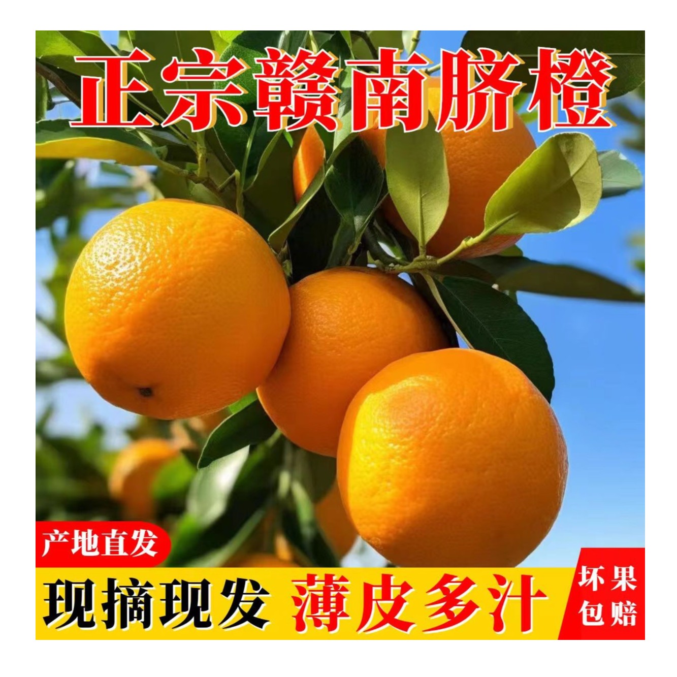 江西赣南脐橙20斤新鲜现摘精品果正宗赣州产地直发（带箱）九省包邮