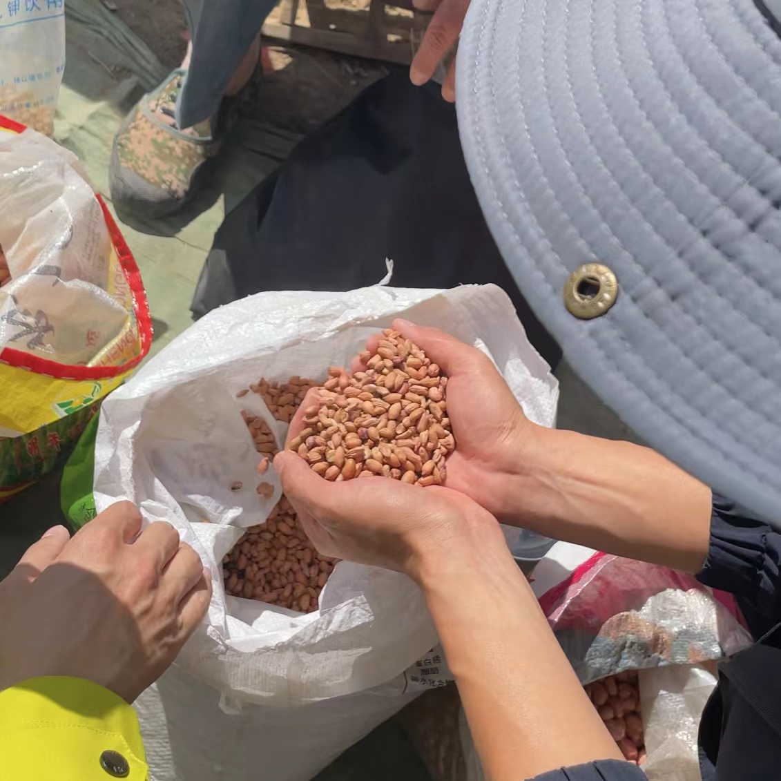 【憋花生】3斤小粒比眼半空甘甜养胃手工精选山东特产甜丝丝细长