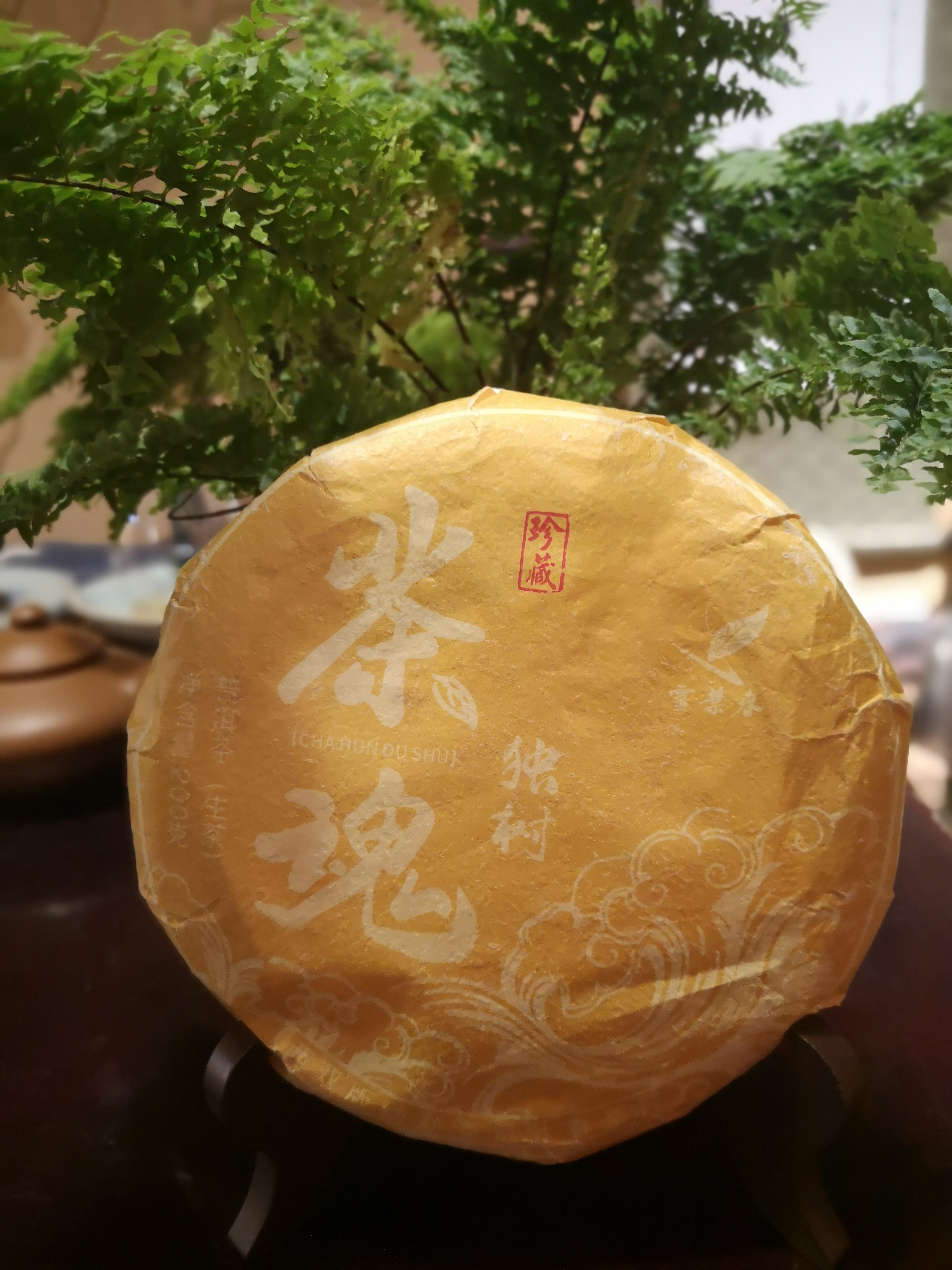 茶魂独树 2023森林系境外单株混压  香甜汤厚 韵深体感强清爽独高