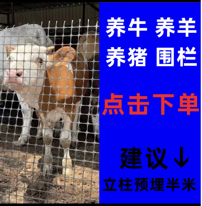 2.4/3.3/3.8毫米厚养殖猪牛羊鸵鸟孔雀大型动物塑胶围栏网