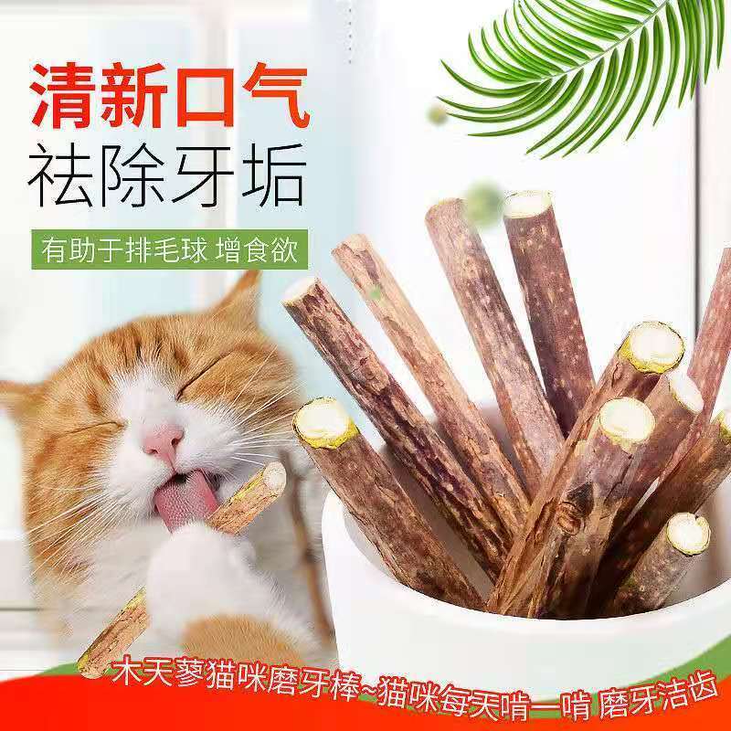 猫咪玩具木天蓼磨牙棒逗猫棒猫咪零食棒棒糖耐咬洁齿清新口气