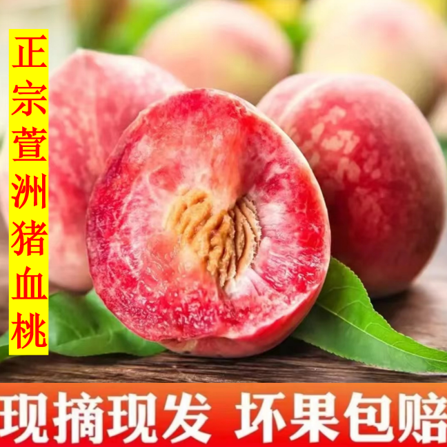 供销助农｜正宗衡山萱洲猪血桃现摘现发 顺丰包邮