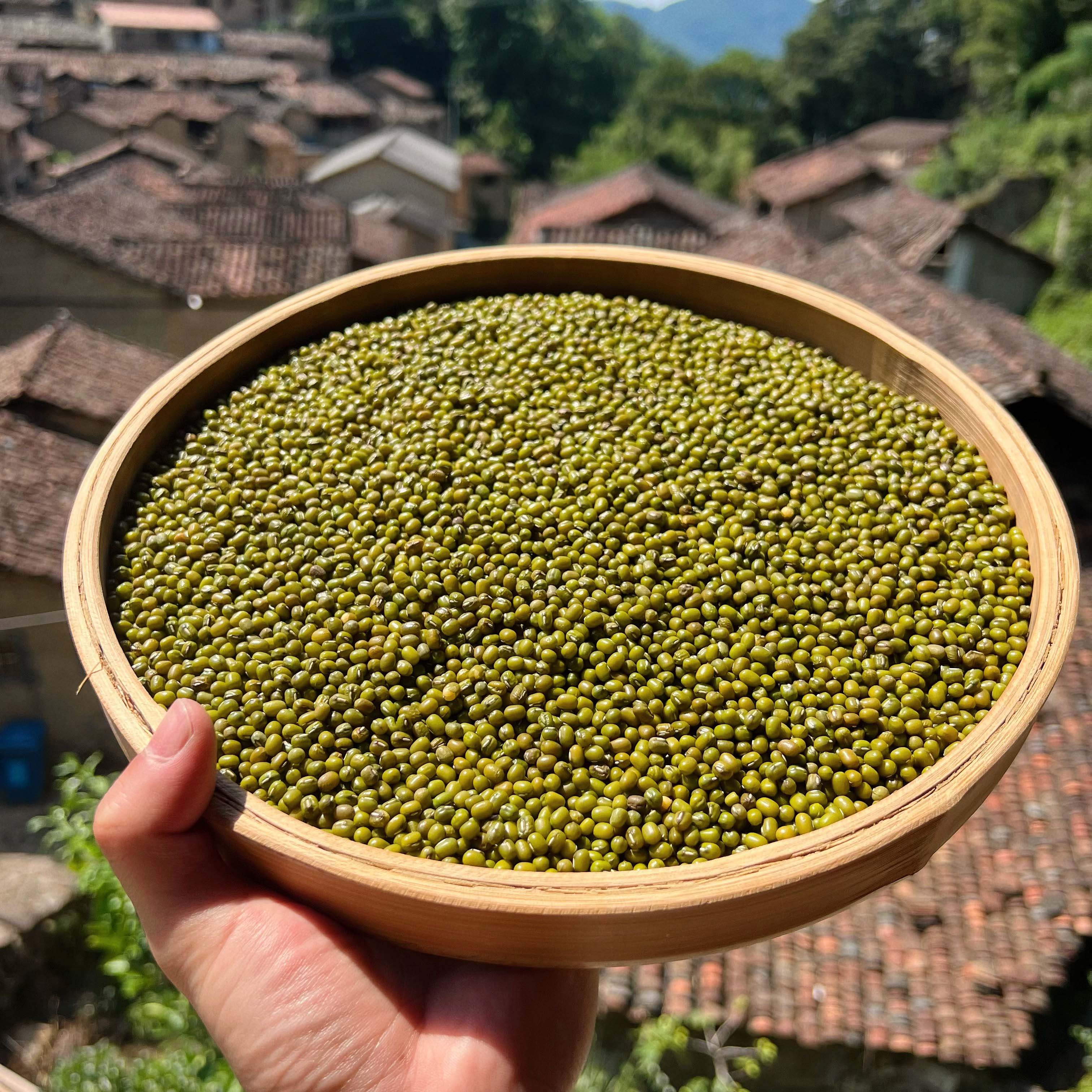 高山  农家  绿豆农产品