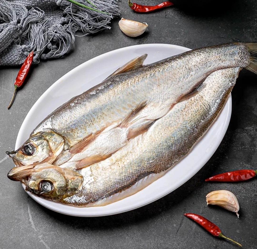 蓉几湖南生态翘嘴鱼净重4斤