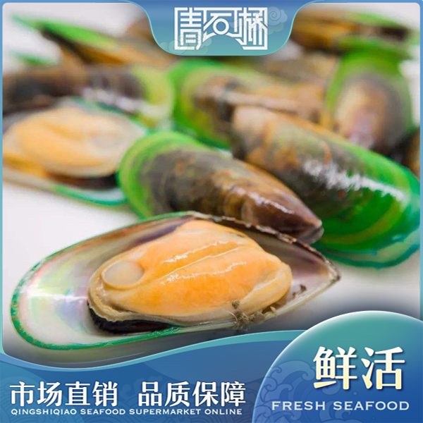 鲜活青口贝500g