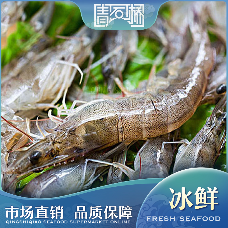冰鲜基围虾（当日睡着的虾）可钓鱼 500g
