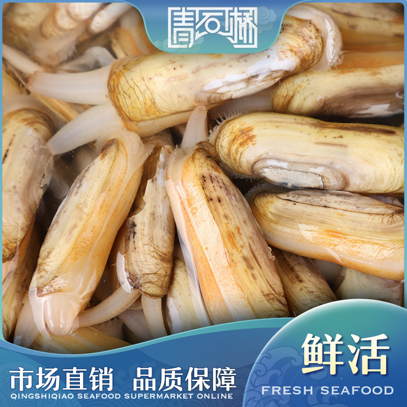 鲜活蛏子250g/500g （已吐沙，少数可能有沙）