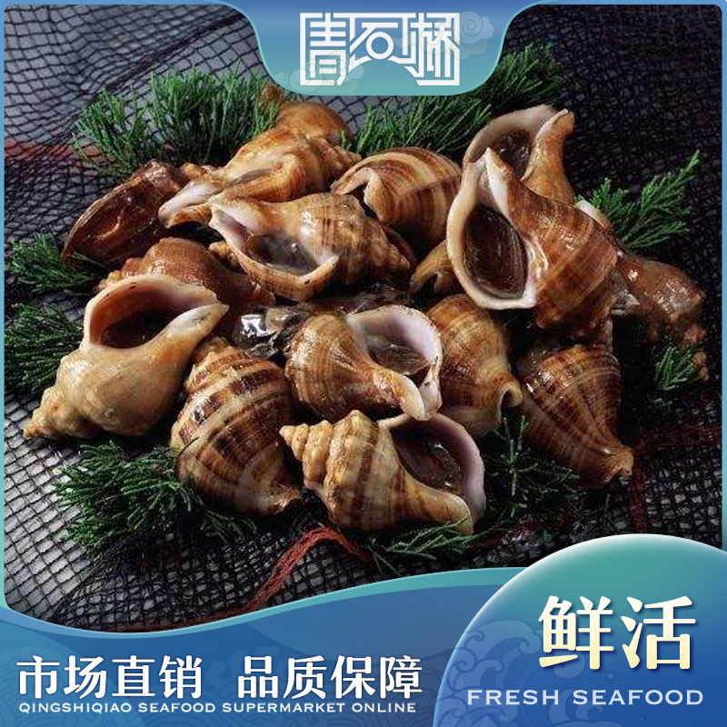 鲜活大/小红里螺  250g/500g  