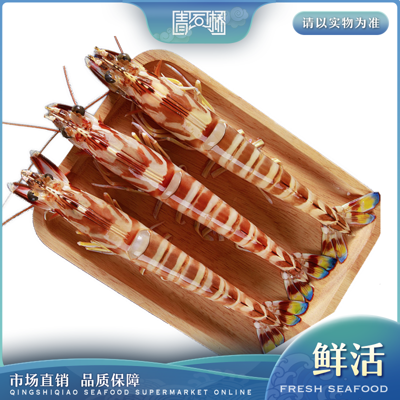 鲜活九节虾//斑节虾  250g/500g±25g