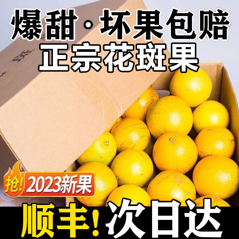 【果园直发】正宗褚花斑果 云南褚家甜薄皮冰糖橙子不打蜡