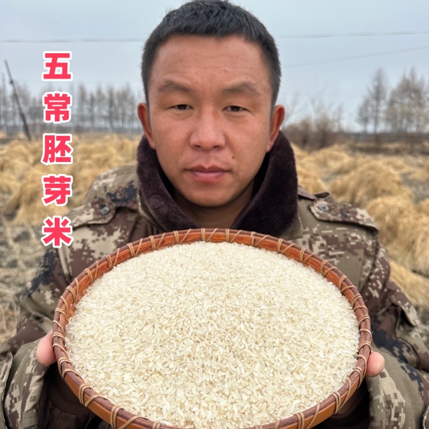 2025年五常胚芽米 稻花香2号胚芽米 留胚米 不抛光