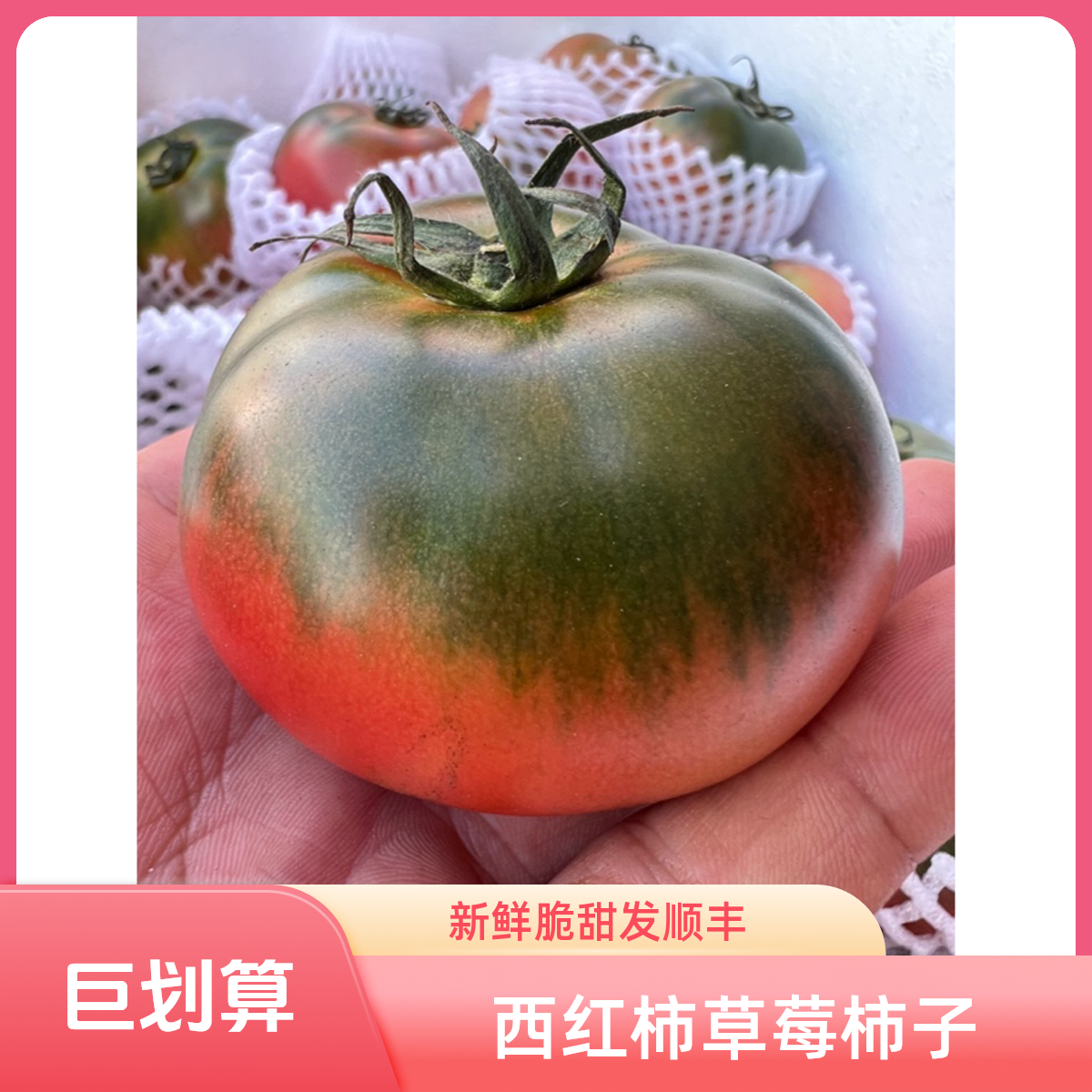 【精选中果】高糖生吃西红柿草莓柿子碱地柿子铁皮柿子5斤顺丰包邮