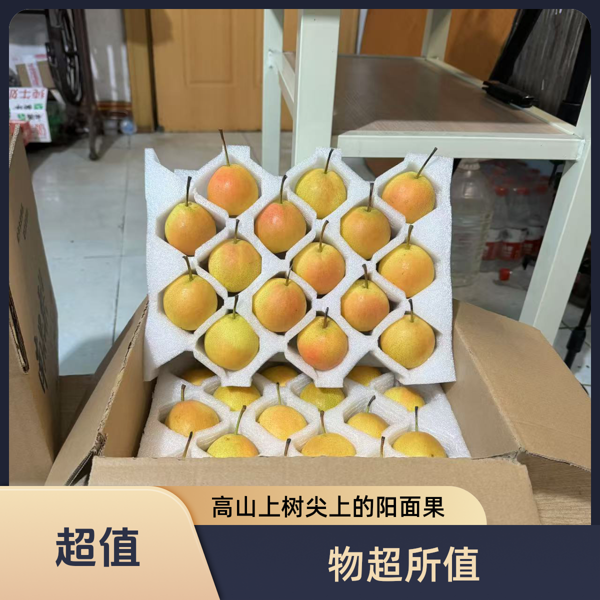 鞍山南果梨阳面果红果正宗东北特产新鲜水果