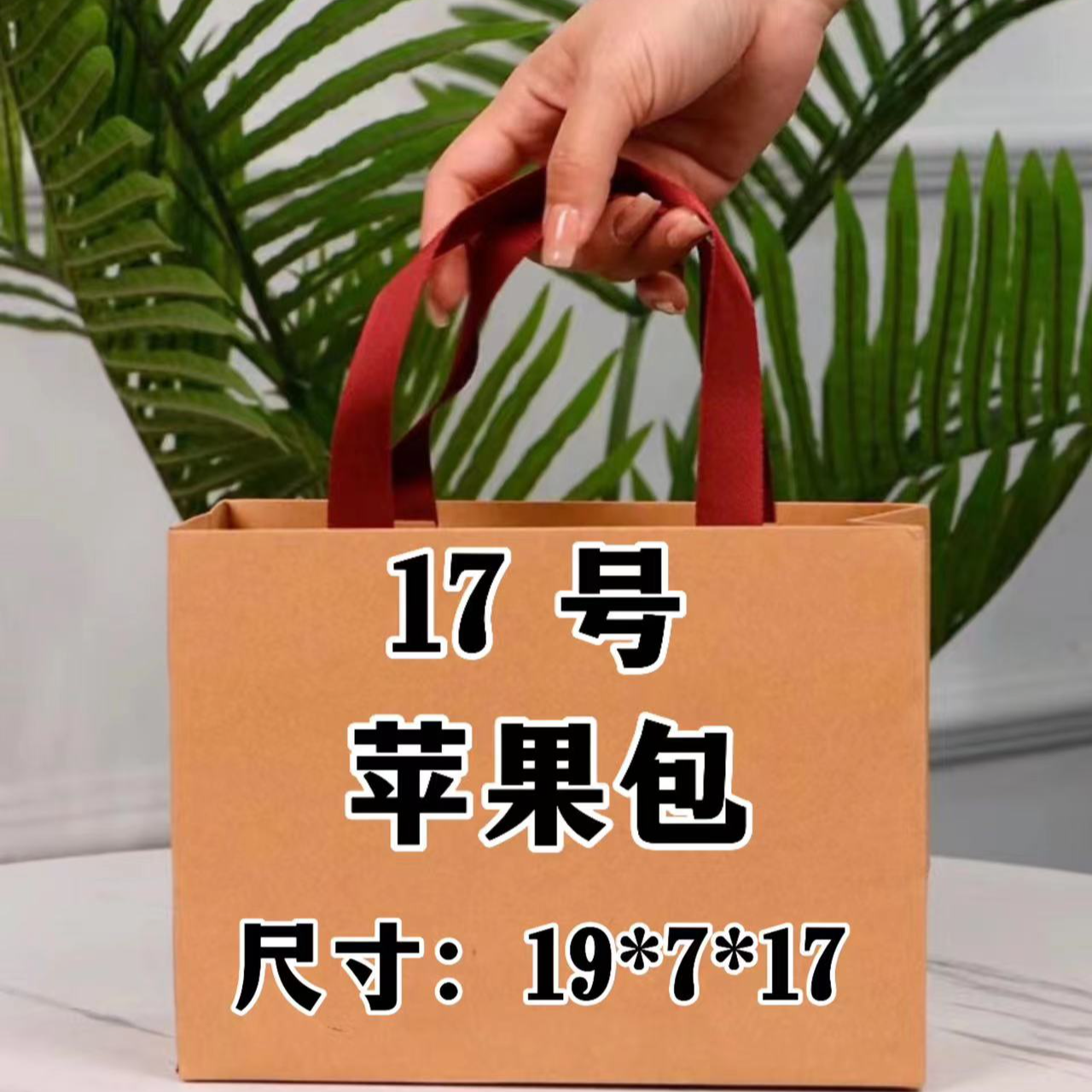 （17号）轻奢百搭休闲手机包时尚简约苹果包