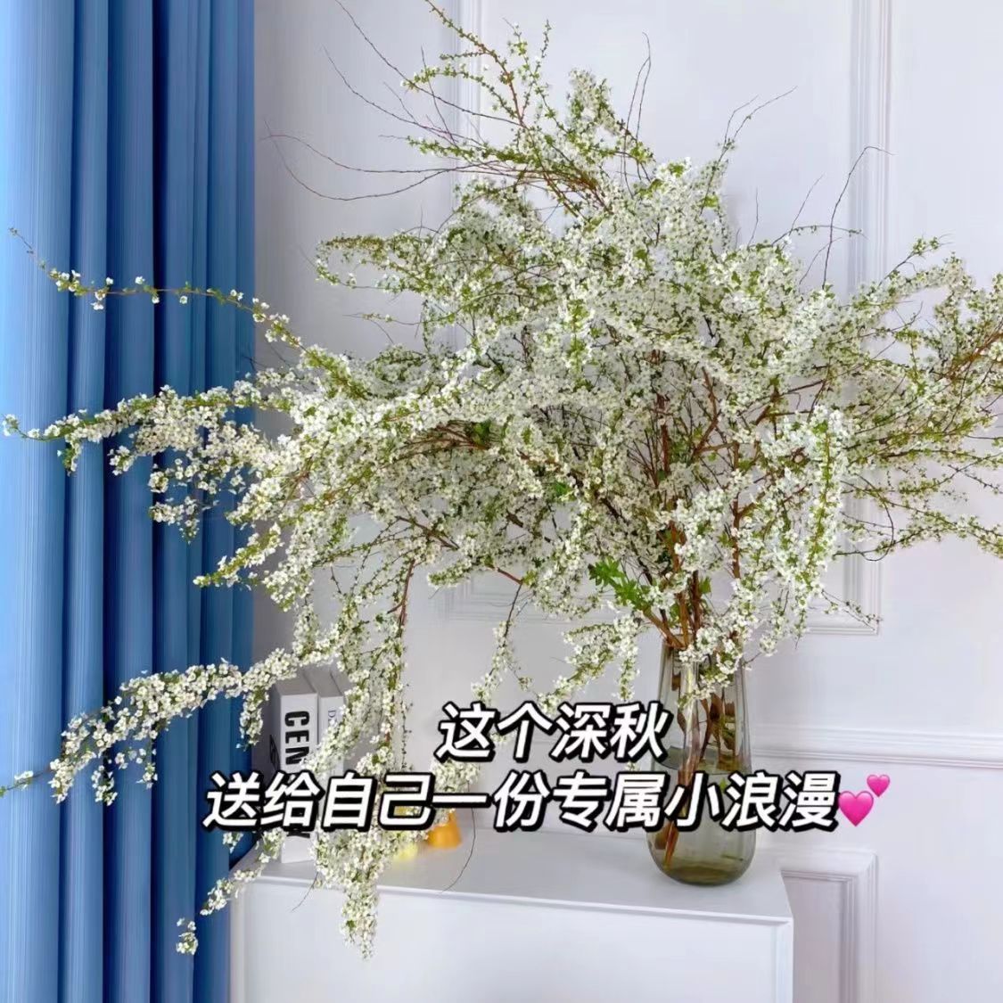 雪柳鲜枝水培富贵竹干枝支绿植物室内鲜花水养开花卉龙柳盆栽插花