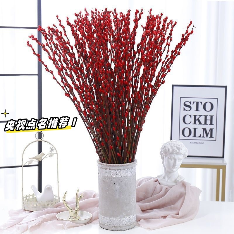 银柳真花鲜枝干花摆件室内客厅鲜花绿植新年招财年宵花卉植物盆栽