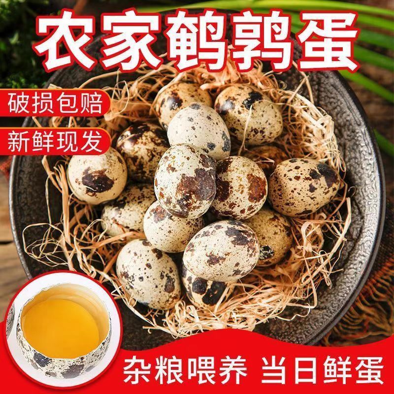 鹌鹑蛋新鲜杂粮鹌鹑蛋老人孕妇宝宝首选