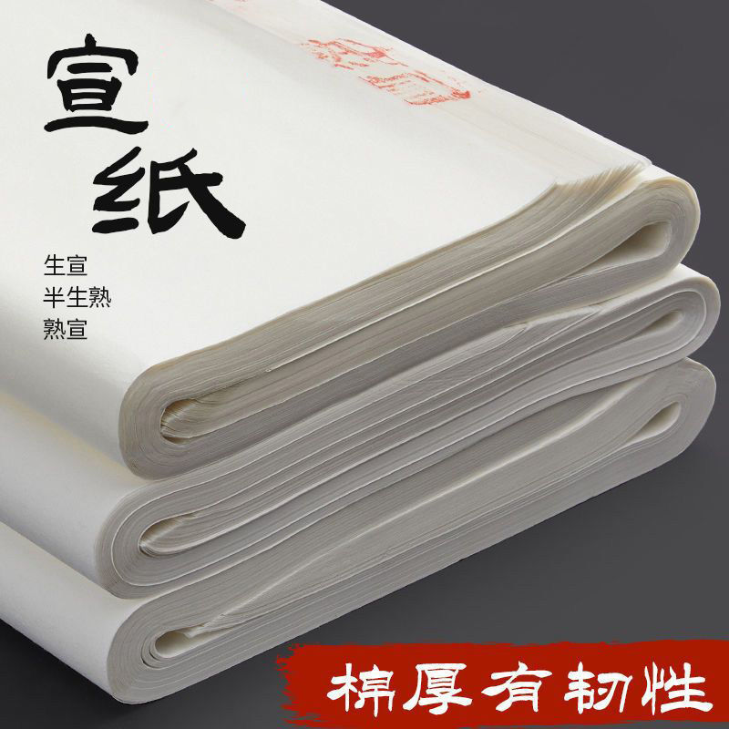 安徽宣纸半生半熟生宣纸国画画书法套装练习初学者创作毛笔毛边纸