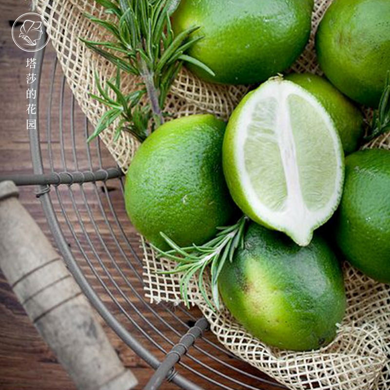 塔莎的花园hy柠檬品种果茶庭院养护喜阳耐晒盆栽苗果树