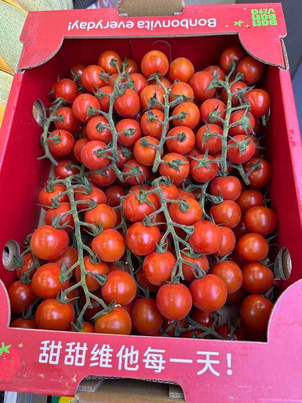 串柿整箱8斤左右