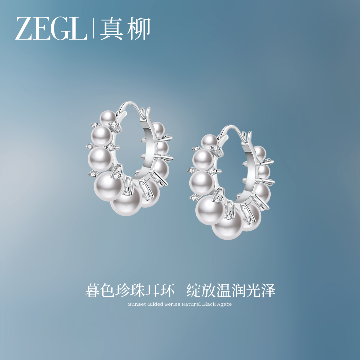 ZEGL 铜合金耳饰 真柳圈圈耳环女轻奢高级感耳圈独特耳饰新款爆款