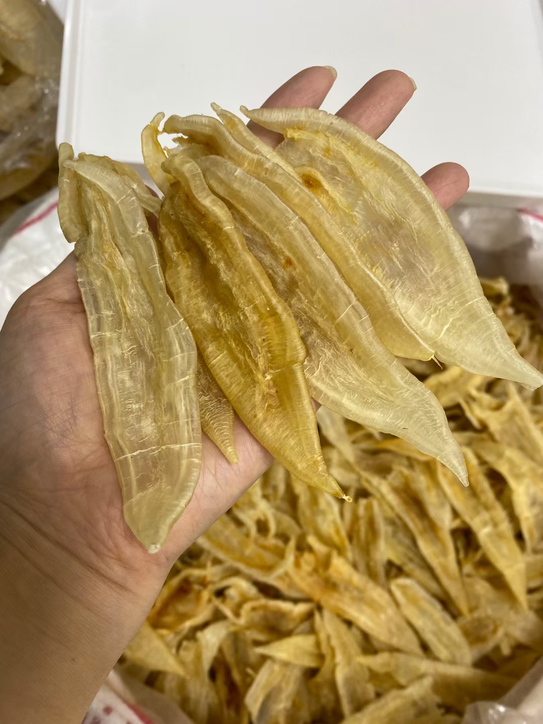 老双背胶75头直播间链接