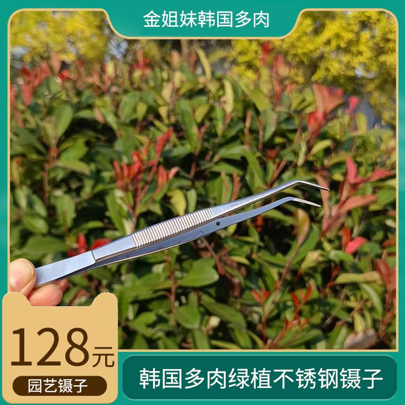 金姐妹多肉植物盆景园艺工具不锈钢镊子