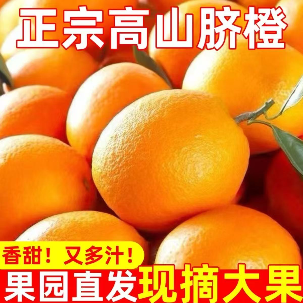 【富贵甄选】四川金堂高山脐橙产地直采新鲜孕妇水果手剥橙子四川省