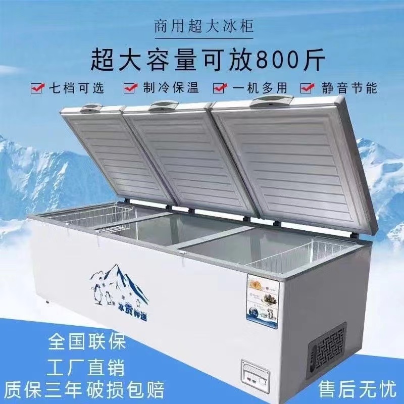 铜管冰柜商用大容量单温冷冻冷藏两用冷柜冻肉双压缩机冰箱超大