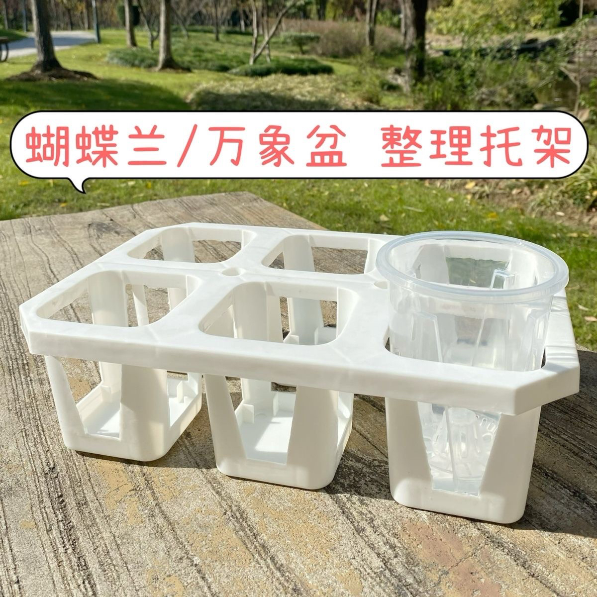 【加高6格托架】圆形方形万象盆多肉盆托架蝴蝶兰盆整理托架托盘