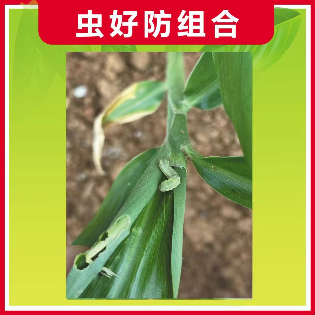 虫好防组合爱利可多一套兑1桶水（30斤）